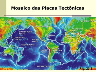 Mosaico das Placas Tectônicas




Peter W. Sloss, NOAA-NESDIS-NGDC      Fig. 20.3
 