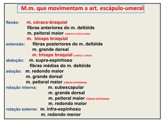 M.m. que movimentam a art. escápulo-umeral
flexão: m. córaco-braquial
fibras anteriores do m. deltóide
m. peitoral maior (FIBRAS CLAVICULARES)
m. bíceps braquial
extensão: fibras posteriores do m. deltóide
m. grande dorsal
m. tríceps braquial (CABEÇA LONGA)
abdução: m. supra-espinhoso
fibras médias do m. deltóide
adução: m. redondo maior
m. grande dorsal
m. peitoral maior (FIBRAS ESTERNAIS)
rotação interna: m. subescapular
m. grande dorsal
m. peitoral maior (FIBRAS ESTERNAIS)
m. redondo maior
rotação externa: m. infra-espinhoso
m. redondo menor
 