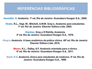 REFERÊNCIAS BIBLIOGRÁFICAS
•Aumüller, G. Anatomia. 1ª ed, Rio de Janeiro: Guanabara Koogan S.A., 2009.
•Drake, R.L., Vogl, W., Mitchell, A.W.M. Gray‫׳‬s. Anatomia para estudantes.
1ª ed. Rio de Janeiro: Elsevier Editora Ltda, 2005.
•Gardner, Gray e O‫׳‬Rahilly. Anatomia.
4ª ed, Rio de Janeiro: Guanabara Koogan S.A., 1978.
•Gray‫׳‬s. Anatomia. A base anatômica da prática clínica. 40ª ed. Rio de Janeiro:
Elsevier Editora Ltda, 2010.
•Moore, K.L.; Dalley, A.F. Anatomia orientada para a clínica.
6ª ed, Rio de Janeiro: Guanabara Koogan S.A., 2011.
•Snell, R.S. Anatomia clínica para estudantes de medicina. 5ª ed, Rio de
Janeiro: Guanabara Koogan S.A., 1999.
 