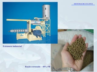 Extrusora industrial Ração extrusada – 40% PB SISTEMAS DE CULTIVO 
