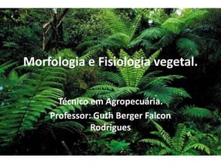 Morfologia e Fisiologia vegetal. 
Técnico em Agropecuária. 
Professor: Guth Berger Falcon Rodrigues  