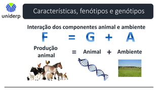 Características, fenótipos e genótipos
Interação dos componentes animal e ambiente
Produção
animal = Animal Ambiente
+
 