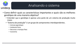 • Como definir quais as características importantes e quais são os melhores
genótipos de uma maneira objetiva?
• Entender que o genótipo é apenas uma parte de um sistema de produção muito
maior.
• “Sistema de produção” é um grupo de componentes interdependentes.
• Animais (genótipo)
• Ambiente físico
• Recursos e manejos fixos
• Economia
Analisando o sistema
 