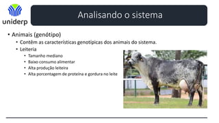 • Animais (genótipo)
• Contêm as características genotípicas dos animais do sistema.
• Leiteria
• Tamanho mediano
• Baixo consumo alimentar
• Alta produção leiteira
• Alta porcentagem de proteína e gordura no leite
Analisando o sistema
 