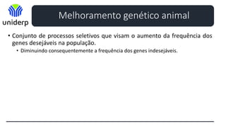 • Conjunto de processos seletivos que visam o aumento da frequência dos
genes desejáveis na população.
• Diminuindo consequentemente a frequência dos genes indesejáveis.
Melhoramento genético animal
 