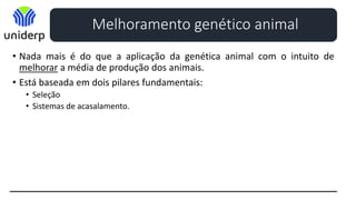 • Nada mais é do que a aplicação da genética animal com o intuito de
melhorar a média de produção dos animais.
• Está baseada em dois pilares fundamentais:
• Seleção
• Sistemas de acasalamento.
Melhoramento genético animal
 