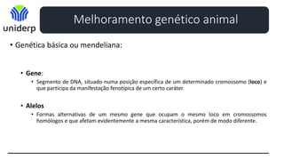 • Genética básica ou mendeliana:
• Gene:
• Segmento de DNA, situado numa posição específica de um determinado cromossomo (loco) e
que participa da manifestação fenotípica de um certo caráter.
• Alelos
• Formas alternativas de um mesmo gene que ocupam o mesmo loco em cromossomos
homólogos e que afetam evidentemente a mesma característica, porém de modo diferente.
Melhoramento genético animal
 