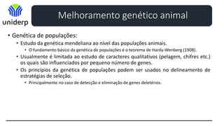 • Genética de populações:
• Estudo da genética mendeliana ao nível das populações animais.
• O fundamento básico da genética de populações é o teorema de Hardy-Wenberg (1908).
• Usualmente é limitada ao estudo de caracteres qualitativos (pelagem, chifres etc.)
os quais são influenciados por pequeno número de genes.
• Os princípios da genética de populações podem ser usados no delineamento de
estratégias de seleção.
• Principalmente no caso de detecção e eliminação de genes deletérios.
Melhoramento genético animal
 