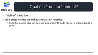 • “Melhor” é relativo.
• Não existe melhor animal para todas as situações.
• O melhor animal para um determinado ambiente pode não ser o mais indicado a
outro.
• Abordagem sistêmica:
• Conhecimento detalhado das características de importância e como a performance
animal nessas características interagem com fatores ambientais como, clima,
nutrição, manejo, custos de produção e preço dos produtos de origem animal.
• Esses itens variam entre espécies, raças e também dependem da indústria e da capacidade do
selecionador.
Qual é o “melhor” animal?
 