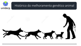 Histórico do melhoramento genético animal
 