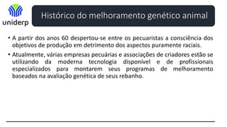 Histórico do melhoramento genético animal
• A partir dos anos 60 despertou-se entre os pecuaristas a consciência dos
objetivos de produção em detrimento dos aspectos puramente raciais.
• Atualmente, várias empresas pecuárias e associações de criadores estão se
utilizando da moderna tecnologia disponível e de profissionais
especializados para montarem seus programas de melhoramento
baseados na avaliação genética de seus rebanho.
 