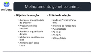 Melhoramento genético animal
• Objetivo de seleção
• Aumentar a lucratividade
do produtor
• Produzir alimento
saudável
• Aumentar a quantidade
de leite
• Melhorar a qualidade do
leite
• Alimento com baixo
custo
• Critério de seleção
• Idade ao Primeiro Parto
(IPP)
• Intervalo de Partos (IEP)
• PL na lactação
• PG (% G)
• PP (% P)
• Sólidos Totais
 