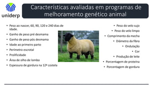 Características avaliadas em programas de
melhoramento genético animal
• Peso ao nascer, 60, 90, 120 e 240 dias de
idade.
• Ganho de peso pré desmama
• Ganho de peso pós desmama
• Idade ao primeiro parto
• Perímetro escrotal
• Prolificidade
• Área de olho de lombo
• Espessura de gordura na 12ª costela
• Peso do velo sujo
• Peso do velo limpo
• Comprimento da mecha
• Diâmetro da fibra
• Ondulação
• Cor
• Produção de leite
• Porcentagem de proteína
• Porcentagem de gordura
 