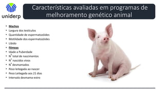 Características avaliadas em programas de
melhoramento genético animal
• Machos
• Largura dos testículos
• Quantidade de espermatozóides
• Motilidade dos espermatozóides
• Libido
• Fêmeas
• Idade a Puberdade
• N
0
total de nascimentos
• N
o
nascidos vivos
• N
o
desmamados
• Peso leitegada ao nascer
• Peso Leitegada aos 21 dias
• Intervalo desmama-estro
 