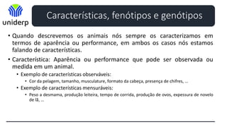 • Quando descrevemos os animais nós sempre os caracterizamos em
termos de aparência ou performance, em ambos os casos nós estamos
falando de características.
• Característica: Aparência ou performance que pode ser observada ou
medida em um animal.
• Exemplo de características observáveis:
• Cor da pelagem, tamanho, musculature, formato da cabeça, presença de chifres, …
• Exemplo de características mensuráveis:
• Peso a desmama, produção leiteira, tempo de corrida, produção de ovos, expessura de novelo
de lã, …
Características, fenótipos e genótipos
 
