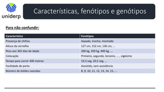 Característica Fenótipos
Presença de chifres Aspado, mocho, mochado
Altura da cernelha 127 cm, 152 cm, 136 cm, ...
Peso aos 365 dias de idade 200 kg, 350 kg, 400 kg, ...
Colocação Primeiro, segundo, terceiro, ... , vigésimo
Tempo para correr 400 metros 19,3 seg, 20,5 seg, ...
Facilidade de parto Assistido, sem assistência
Número de leitões nascidos 8, 9, 10, 11, 12, 13, 14, 15, ...
Características, fenótipos e genótipos
Para não confundir:
 