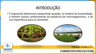 INTRODUÇÃO
• É impossível determinar exatamente quando, na história da humanidade,
o homem tomou conhecimento da existência de microorganismos e da
sua importância para os alimentos.
 