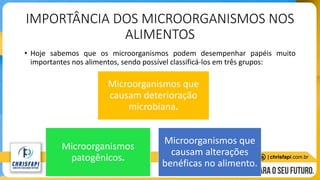 IMPORTÂNCIA DOS MICROORGANISMOS NOS
ALIMENTOS
• Hoje sabemos que os microorganismos podem desempenhar papéis muito
importantes nos alimentos, sendo possível classificá-los em três grupos:
Microorganismos que
causam deterioração
microbiana.
Microorganismos
patogênicos.
Microorganismos que
causam alterações
benéficas no alimento.
 