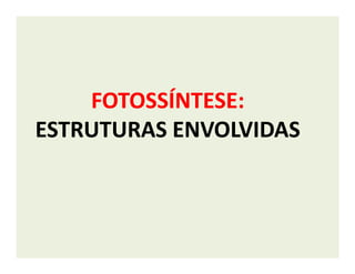 FOTOSSÍNTESE:FOTOSSÍNTESE:
ESTRUTURAS ENVOLVIDASESTRUTURAS ENVOLVIDASESTRUTURAS ENVOLVIDASESTRUTURAS ENVOLVIDAS
 