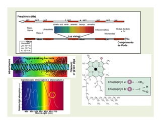 Luz visívelLuz visível
Violeta azul verde amarelo laranja vermelhoVioleta azul verde amarelo laranja vermelho
UltravioletaUltravioleta
RaiosRaios XX
RaiosRaios
GamaGama
Ondas de rádioOndas de rádio
e TVe TV
MicroondasMicroondas
InfravermelhosInfravermelhos
ComprimentoComprimento
de Ondade Onda
Freqüência (Hz)Freqüência (Hz)
10102121 10101818 10101616 7. 107. 101414 4 . 104 . 101414 10101212 10101010 101044
0,1nm 10nm 100nm 4000,1nm 10nm 100nm 400------------740nm 10740nm 10µµmm 5050µµmm
100100µµmm
Unidades:Unidades:
µµm: 10m: 10--66 mm
nm: 10nm: 10--99 mm
A: 10A: 10--1010 mm
 