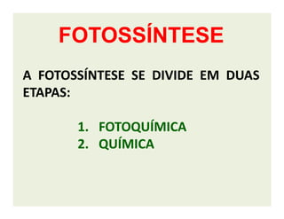 A FOTOSSÍNTESE SE DIVIDE EM DUAS
ETAPAS:
FOTOSSÍNTESEFOTOSSÍNTESE
1.1. FOTOQUÍMICAFOTOQUÍMICA
2.2. QUÍMICAQUÍMICA
 