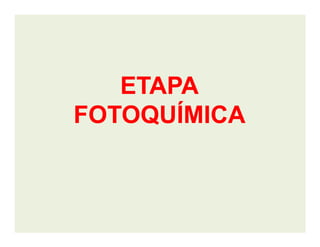 ETAPAETAPA
FOTOQUÍMICAFOTOQUÍMICAFOTOQUÍMICAFOTOQUÍMICA
 