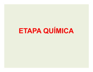 ETAPA QUÍMICAETAPA QUÍMICA
 