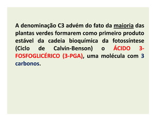 A denominação C3 advém do fato da maioria das
plantas verdes formarem como primeiro produto
estável da cadeia bioquímica da fotossíntese
(Ciclo de Calvin-Benson) o ÁCIDOÁCIDO 33--
FOSFOGLICÉRICOFOSFOGLICÉRICO ((33--PGA)PGA), uma molécula com 33
carbonoscarbonos.carbonoscarbonos.
 