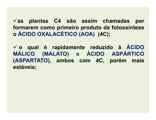 as plantas C4 são assim chamadas por
formarem como primeiro produto da fotossíntese
o ÁCIDOÁCIDO OXALACÉTICOOXALACÉTICO (AOA(AOA)) (4C);
o qual é rapidamente reduzido à ÁCIDOÁCIDO
MÁLICOMÁLICO (MALATO)(MALATO) e ÁCIDOÁCIDO ASPÁRTICOASPÁRTICO
(ASPARTATO)(ASPARTATO), ambos com 4C, porém mais(ASPARTATO)(ASPARTATO), ambos com 4C, porém mais
estáveis;
 
