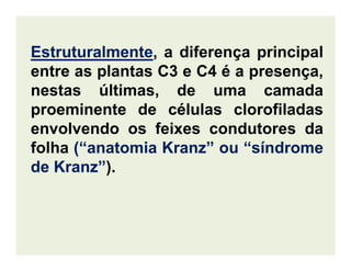 EstruturalmenteEstruturalmente, a diferença principal
entre as plantas C3 e C4 é a presença,
nestas últimas, de uma camada
proeminente de células clorofiladas
envolvendo os feixes condutores daenvolvendo os feixes condutores da
folha (“anatomia(“anatomia KranzKranz”” ouou “síndrome“síndrome
dede KranzKranz””).
 