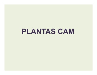 PLANTAS CAMPLANTAS CAM
 