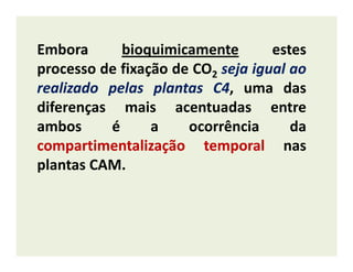 Embora bioquimicamente estes
processo de fixação de CO2 sejaseja igualigual aoao
realizadorealizado pelaspelas plantasplantas CC44, uma das
diferenças mais acentuadas entre
ambos é a ocorrência da
compartimentalizaçãocompartimentalização temporaltemporal nascompartimentalizaçãocompartimentalização temporaltemporal nas
plantas CAM.
 