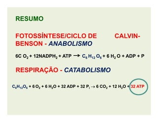 RESUMORESUMO
FOTOSSÍNTESE/CICLO DE CALVINFOTOSSÍNTESE/CICLO DE CALVIN--
BENSONBENSON -- ANABOLISMOANABOLISMO
6C O6C O22 + 12NADPH+ 12NADPH22 + ATP+ ATP CC66 HH1212 OO66 + 6 H+ 6 H22 O + ADP + PO + ADP + P
RESPIRAÇÃORESPIRAÇÃO -- CATABOLISMOCATABOLISMO
CC66HH1212OO66 + 6+ 6 OO22 + 6 H+ 6 H22O + 32 ADP + 32O + 32 ADP + 32 PPii →→→→→→→→ 6 CO6 CO22 + 12 H+ 12 H22O +O + 32 ATP32 ATP
 