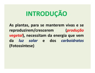 INTRODUÇÃOINTRODUÇÃO
As plantas, para se manterem vivas e se
reproduzirem/crescerem (produçãoprodução
vegetalvegetal), necessitam da energia que vemvegetalvegetal), necessitam da energia que vem
da luzluz solarsolar e dos carboidratoscarboidratos
(Fotossíntese)
 