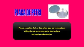 Placa circular de bordos altos que se justapõem,
utilizada para crescimento bacteriano
em meios adequados
 