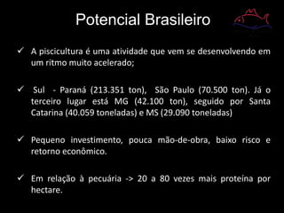  A piscicultura é uma atividade que vem se desenvolvendo em
um ritmo muito acelerado;
 Sul - Paraná (213.351 ton), São Paulo (70.500 ton). Já o
terceiro lugar está MG (42.100 ton), seguido por Santa
Catarina (40.059 toneladas) e MS (29.090 toneladas)
 Pequeno investimento, pouca mão-de-obra, baixo risco e
retorno econômico.
 Em relação à pecuária -> 20 a 80 vezes mais proteína por
hectare.
Potencial Brasileiro
 
