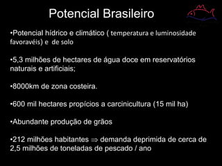 Potencial Brasileiro
•Potencial hídrico e climático ( temperatura e luminosidade
favoravéis) e de solo
•5,3 milhões de hectares de água doce em reservatórios
naturais e artificiais;
•8000km de zona costeira.
•600 mil hectares propícios a carcinicultura (15 mil ha)
•Abundante produção de grãos
•212 milhões habitantes  demanda deprimida de cerca de
2,5 milhões de toneladas de pescado / ano
 