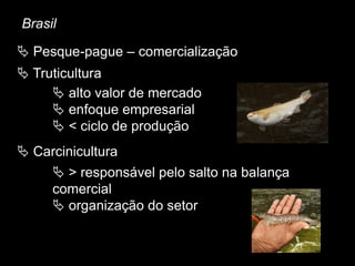 Brasil
 Pesque-pague – comercialização
 Truticultura
 alto valor de mercado
 enfoque empresarial
 < ciclo de produção
 Carcinicultura
 > responsável pelo salto na balança
comercial
 organização do setor
 