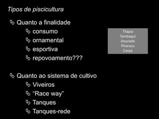 Tipos de piscicultura
 Quanto a finalidade
 consumo
 ornamental
 esportiva
 repovoamento???
 Quanto ao sistema de cultivo
 Viveiros
 “Race way”
 Tanques
 Tanques-rede
Tilapia
Tambaqui
Dourado
Pirarucu
Carpa
 