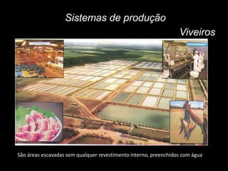 Sistemas de produção
Viveiros
São áreas escavadas sem qualquer revestimento interno, preenchidos com água
 