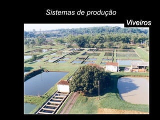 Sistemas de produção
Viveiros
 