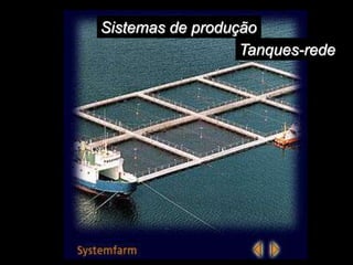 Sistemas de produção
Tanques-rede
 