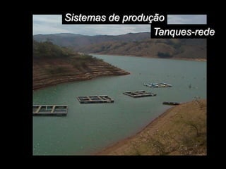 Sistemas de produção
Tanques-rede
 