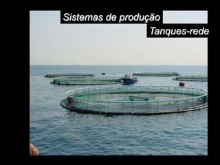 Sistemas de produção
Tanques-rede
 