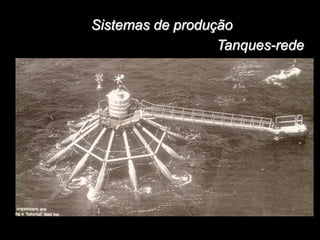 Sistemas de produção
Tanques-rede
 
