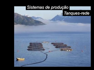 Sistemas de produção
Tanques-rede
 