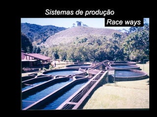 Sistemas de produção
Race ways
 