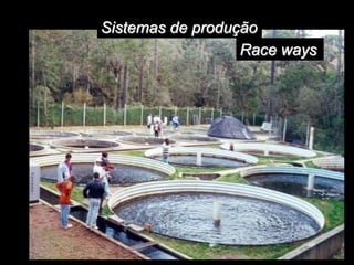 Sistemas de produção
Race ways
 