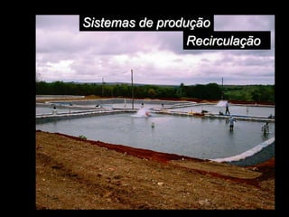 Sistemas de produção
Recirculação
 