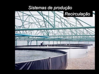 Sistemas de produção
Recirculação
 